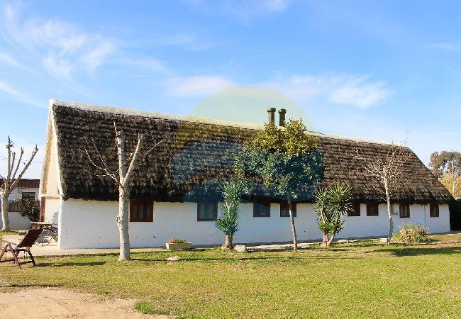 Casa rural en Sant Jaume d'Enveja - B. VERDA - Barraca típica del Delta del Ebro