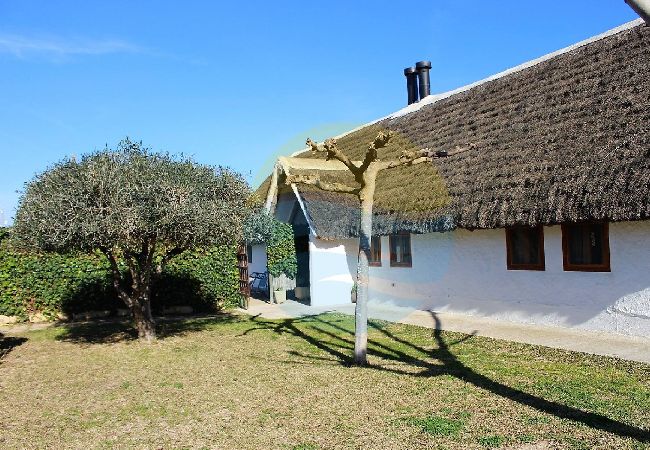 Casa rural en Sant Jaume d'Enveja - B. VERDA - Barraca típica del Delta del Ebro