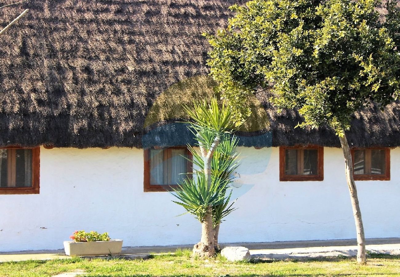 Casa rural en Sant Jaume d'Enveja - B. VERDA - Barraca típica del Delta del Ebro