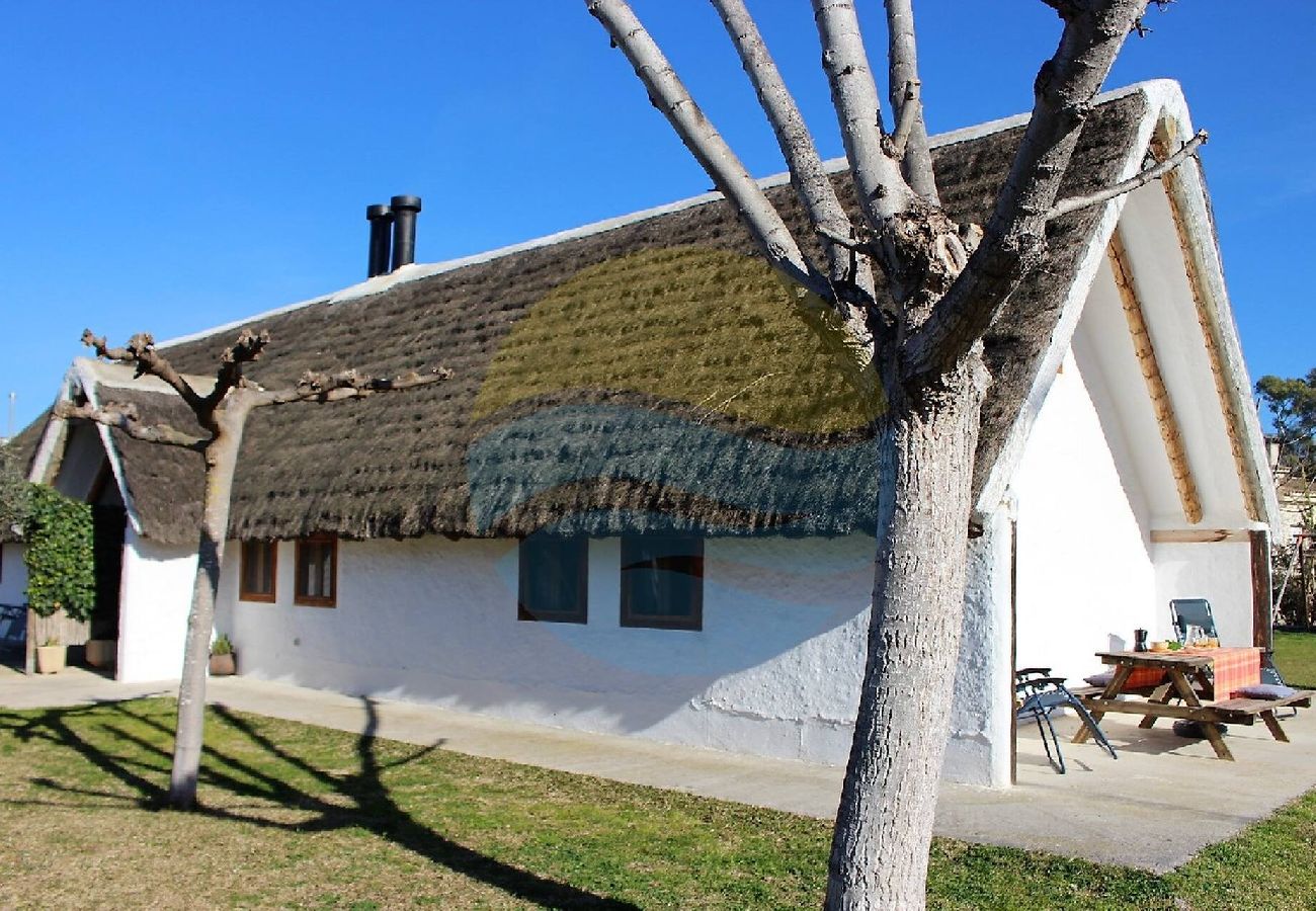 Casa rural en Sant Jaume d'Enveja - B. VERDA - Barraca típica del Delta del Ebro