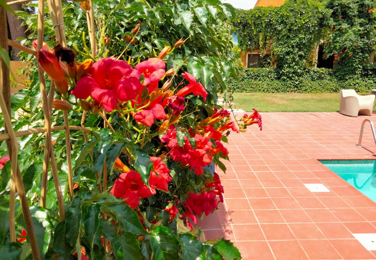 Casa rural en L'Aldea - MAS DE BERNIS - Masovers