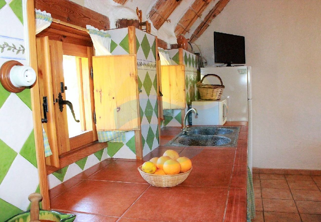 Casa rural en Sant Jaume d'Enveja - B. GRAN - Barraca del Delta para 16 personas