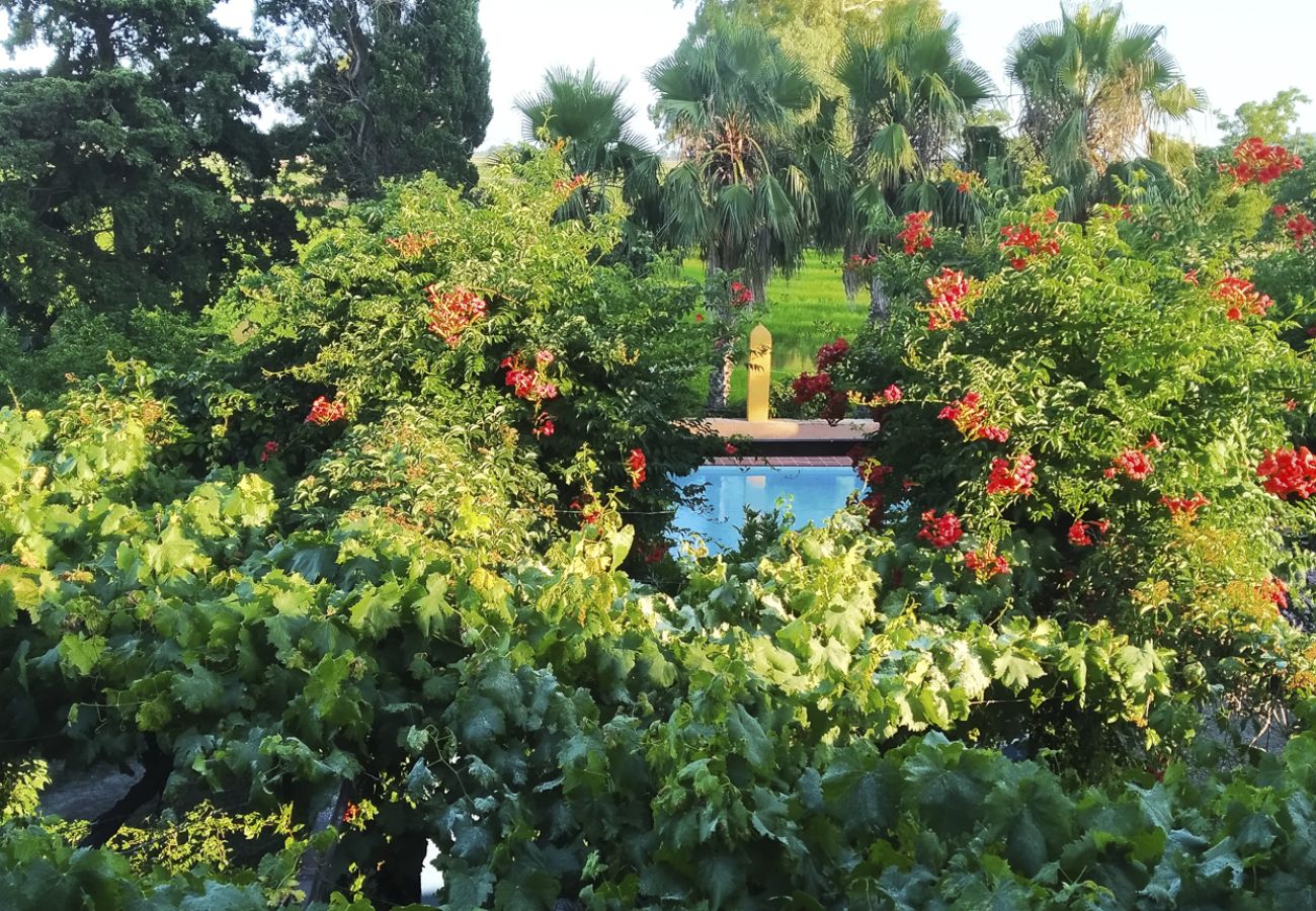 Casa rural en L'Aldea - MAS DE BERNIS - Senyoreta