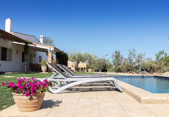 Chalet in Ampolla - SANTOLINA - Casa Rural con piscina privada