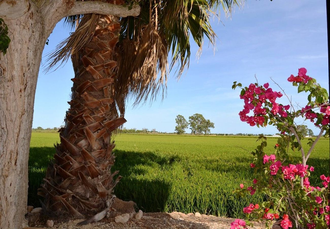 Gîte Rural à Deltebre - FELIP - Casa rural con piscina privada