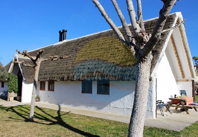 Gîte Rural à Sant Jaume d'Enveja - B. BLAVA - Barraca típica del Delta del Ebro