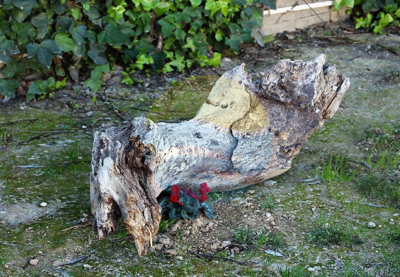 Gîte Rural à Sant Jaume d'Enveja - B. BLAVA - Barraca típica del Delta del Ebro