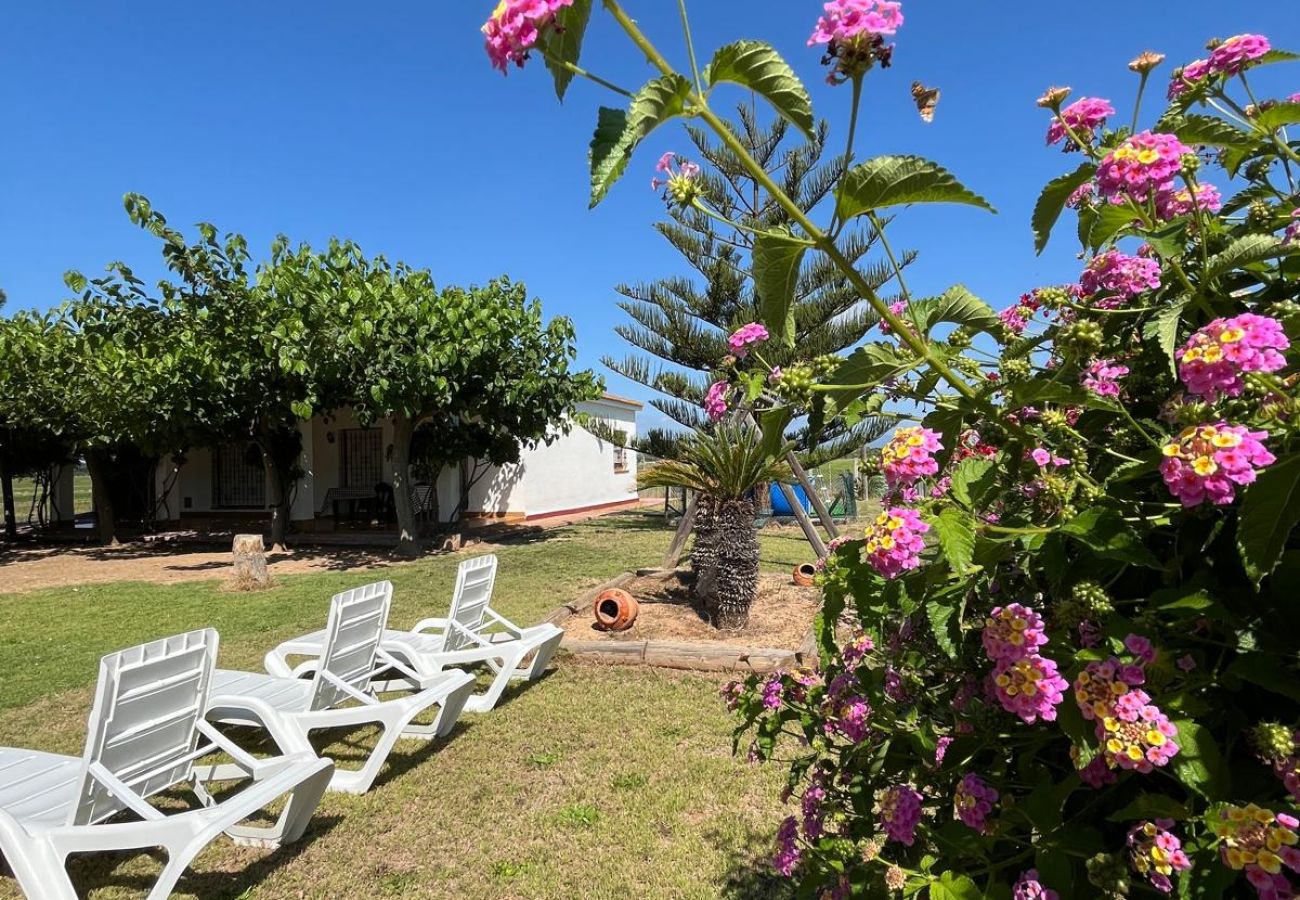 Gîte Rural à Riumar - PAGALL - Casa rural  para 8 personas en Riumar