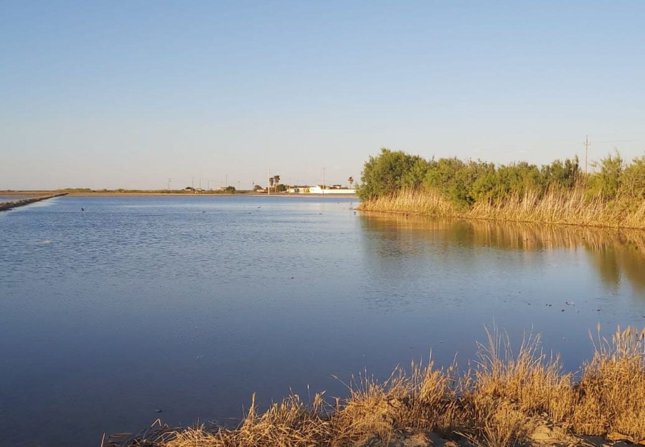 Gîte Rural à Deltebre - BASSA MARQUESA - Casa rural en el Delta del Ebro